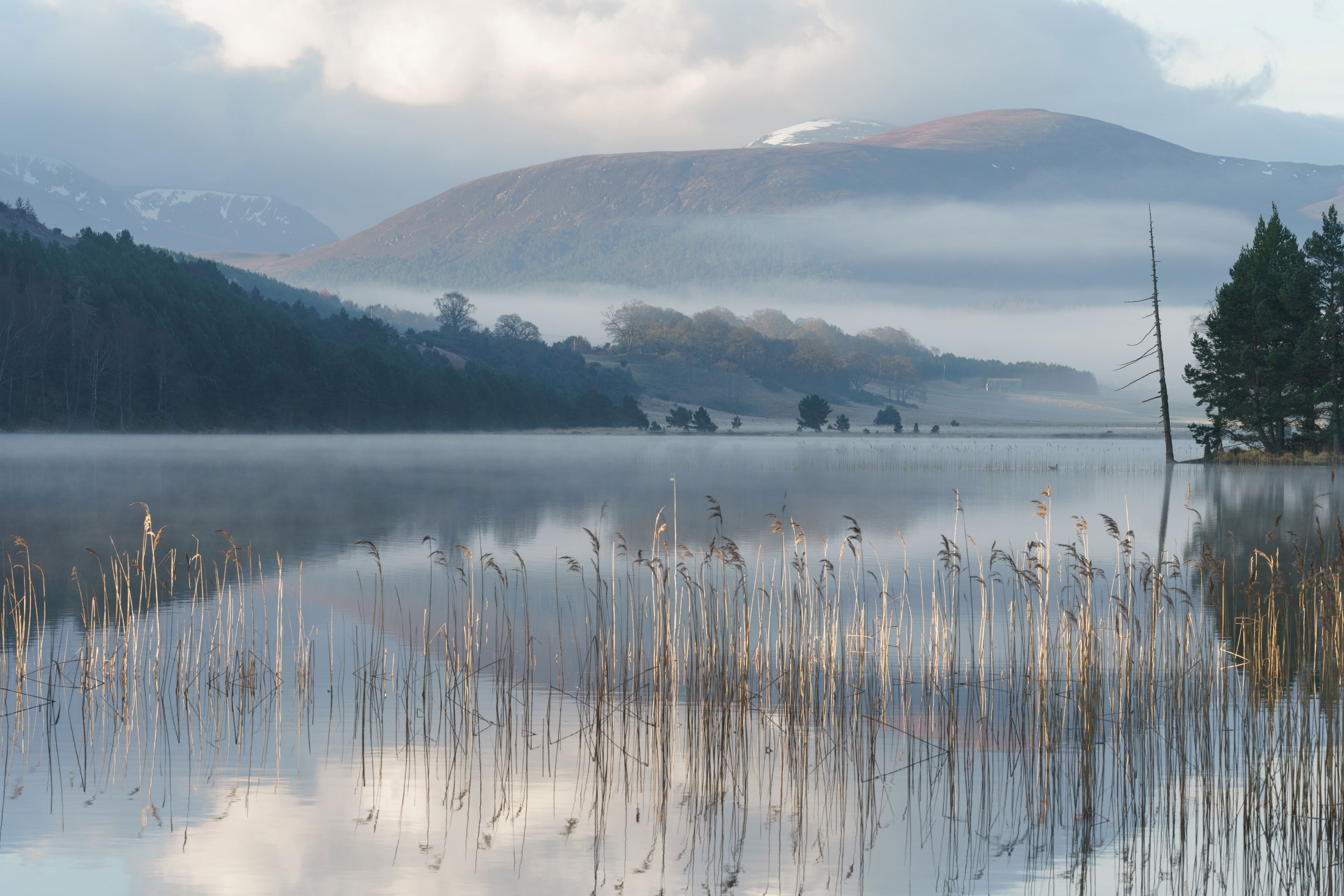 A Spiritual Morning at Loch Pityoulish