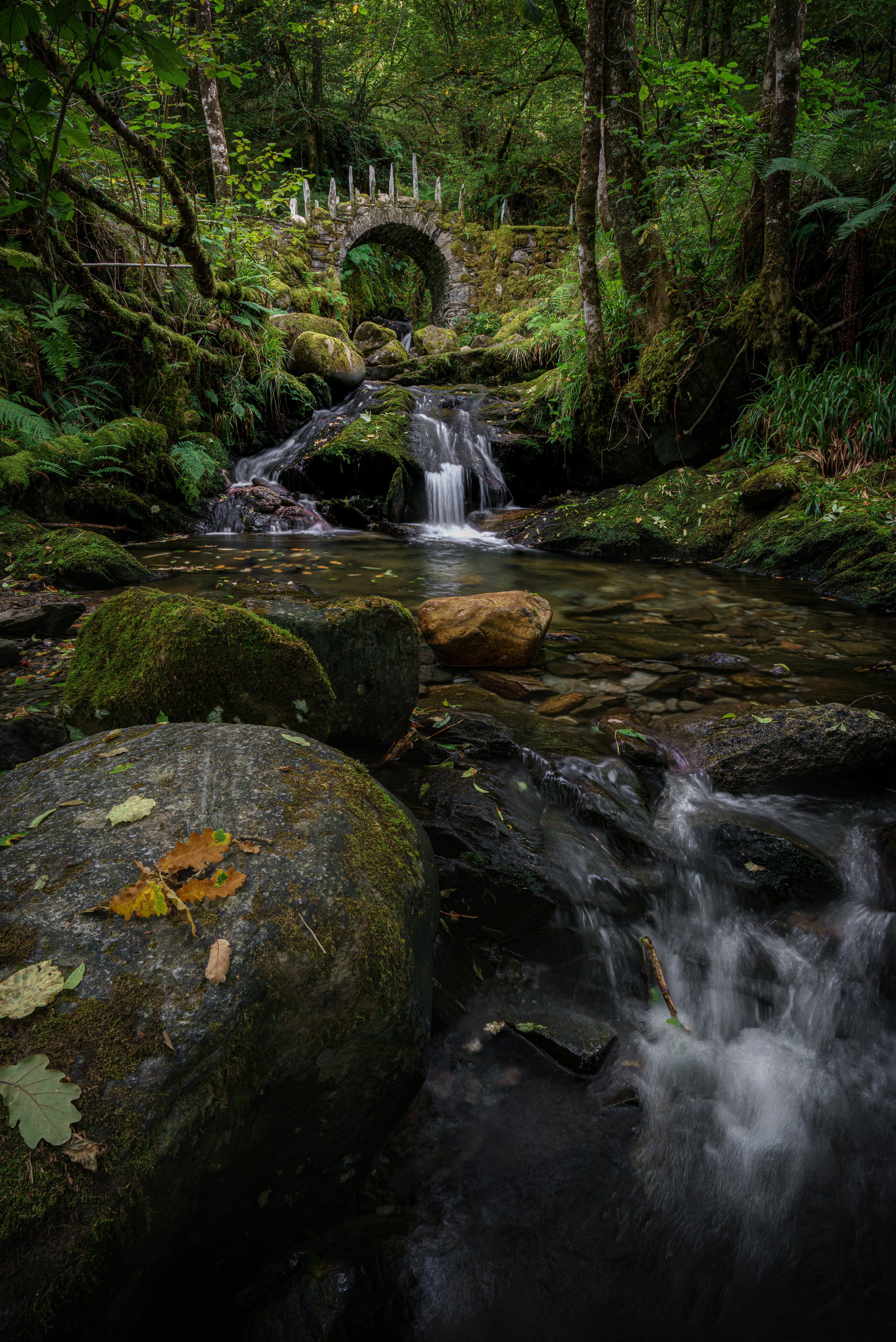 Whispering Streams of Glen Creran