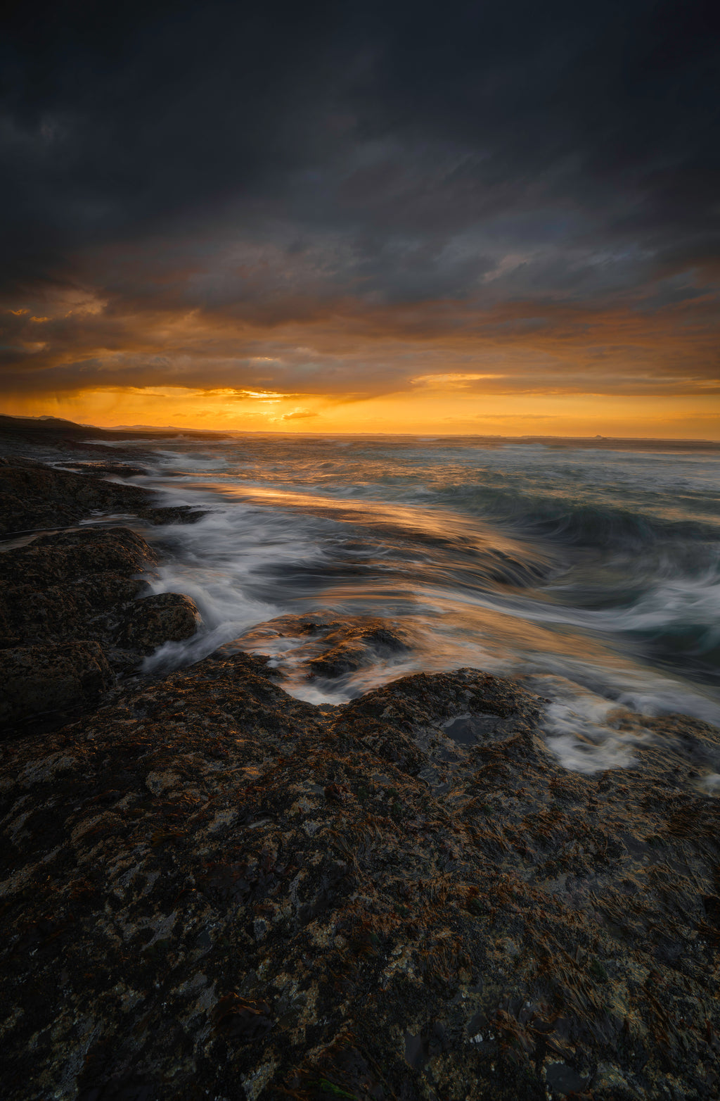 Golden Prelude to the Storm
