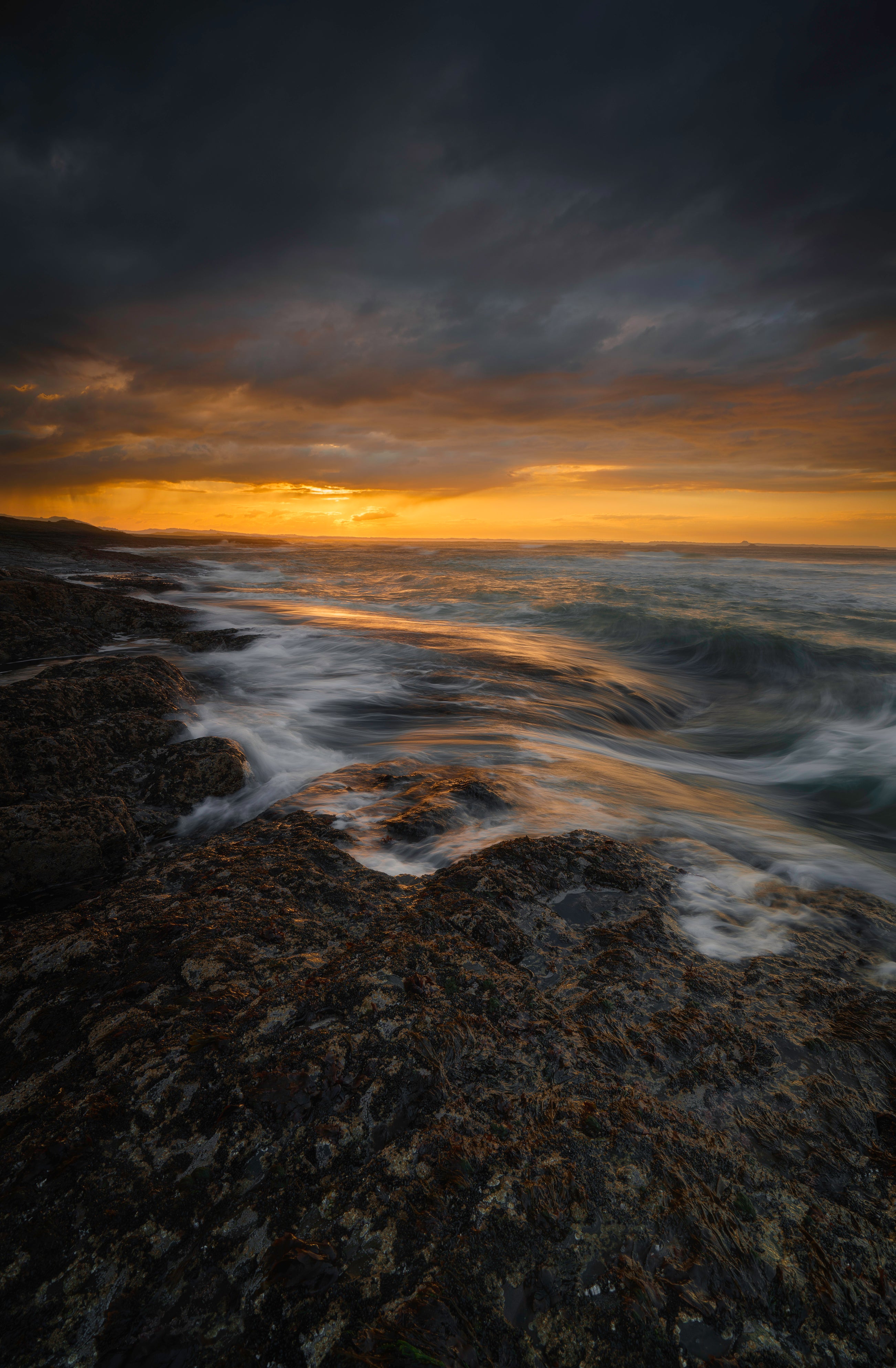 Golden Prelude to the Storm
