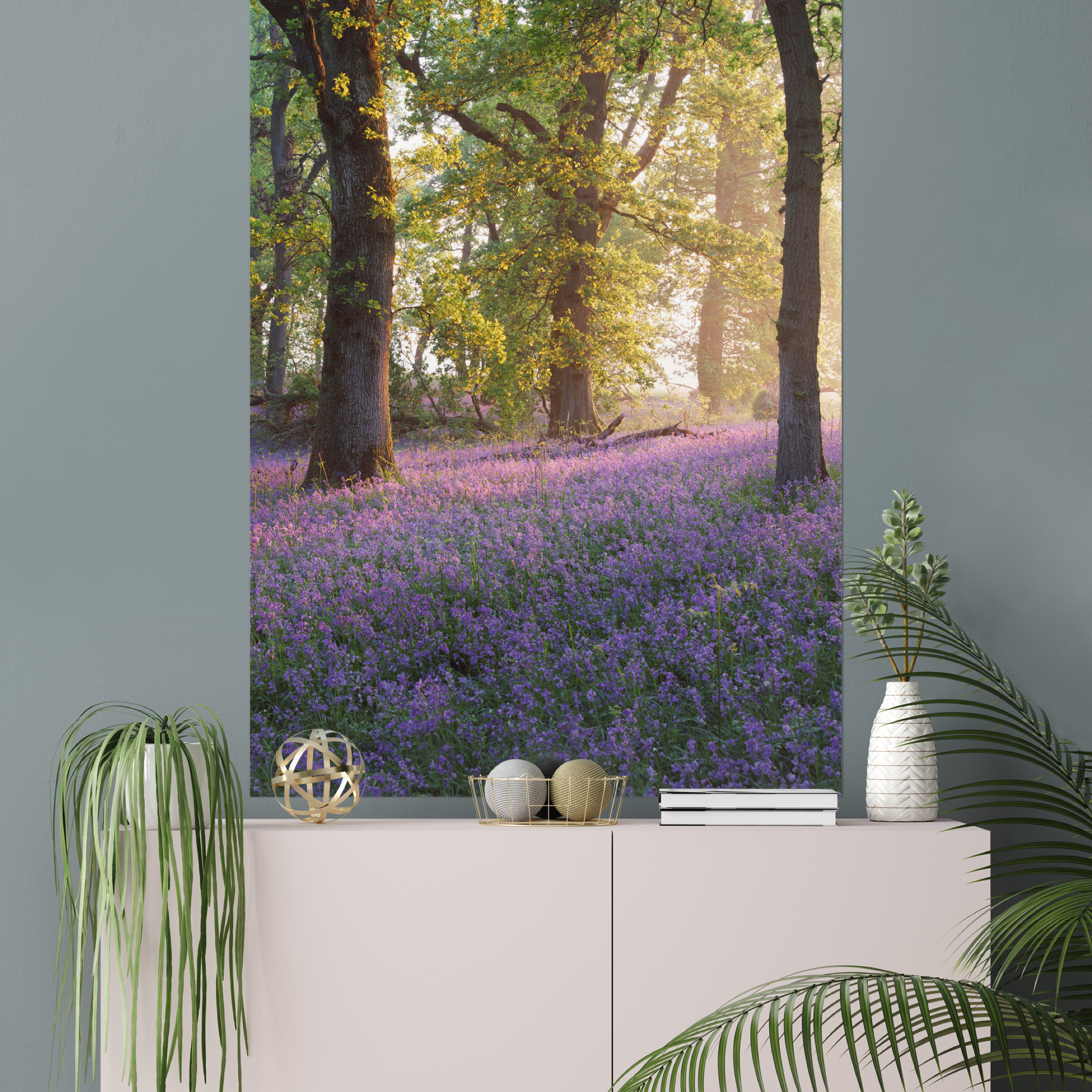 Kinclaven Woods - Morning Radiance